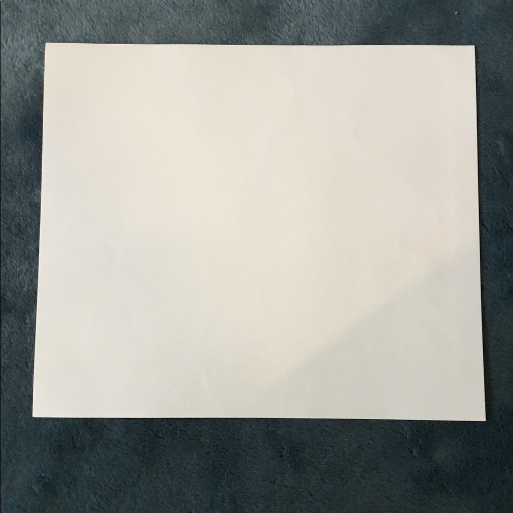 VTG MCM David Klein Bird Print - Picture 4 of 4